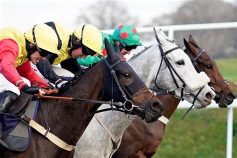 The Latest Horse Racing News & Results From Racing TV.